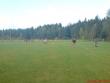 Smolivec : Dvorec "A" 3:1 (1:0)